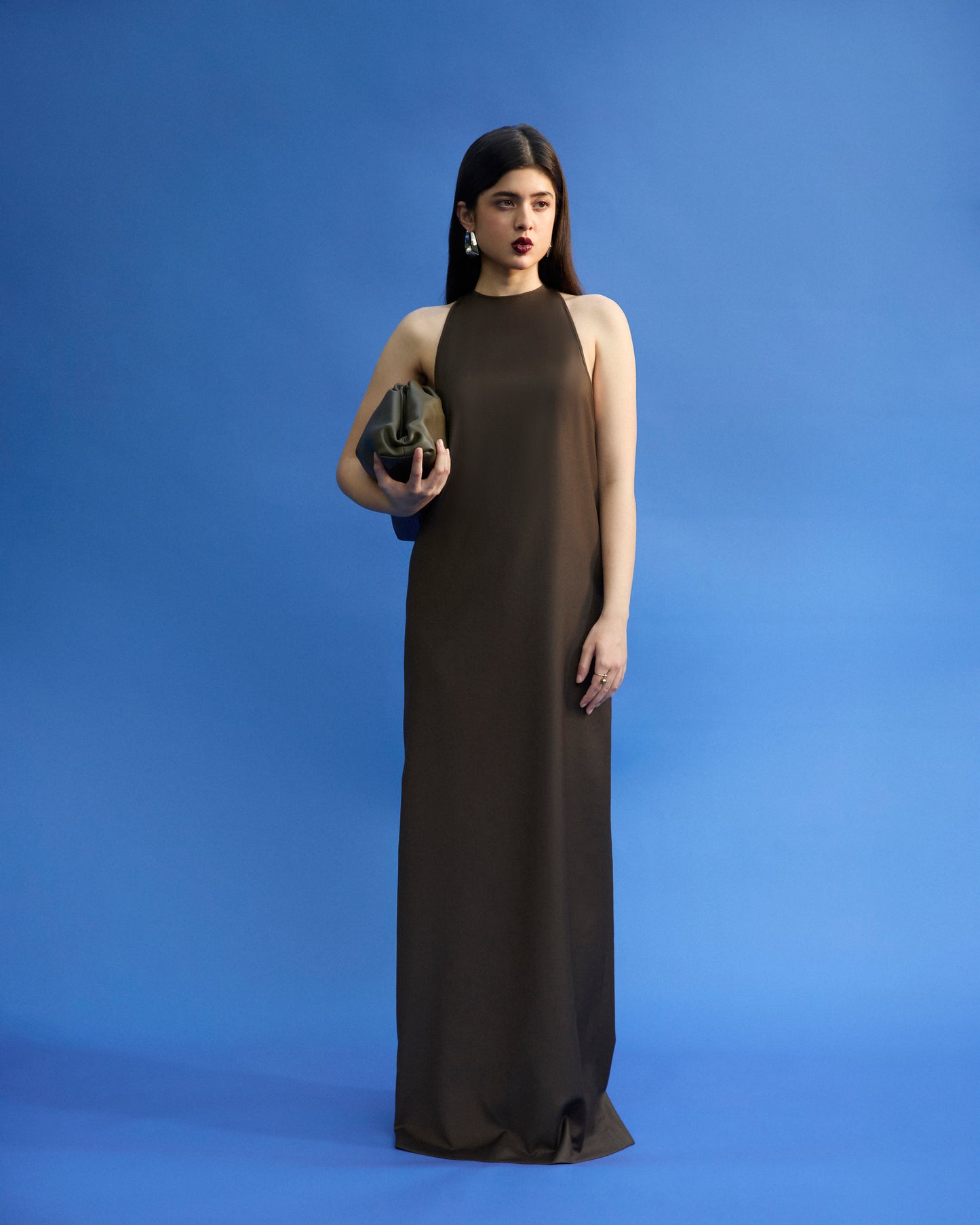 Brown Dress