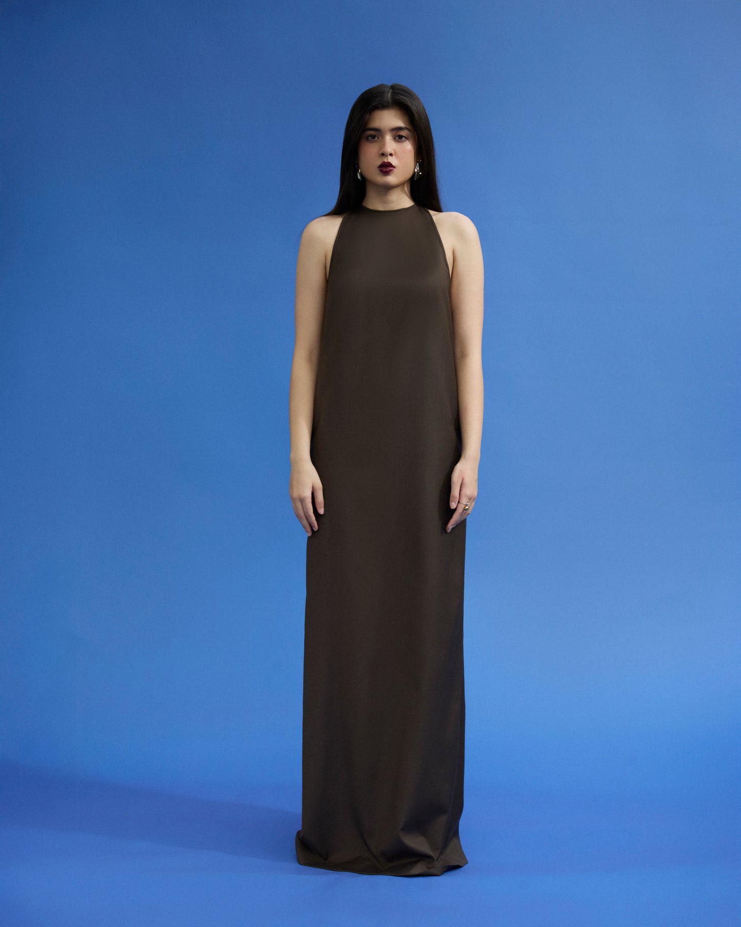 Brown Dress