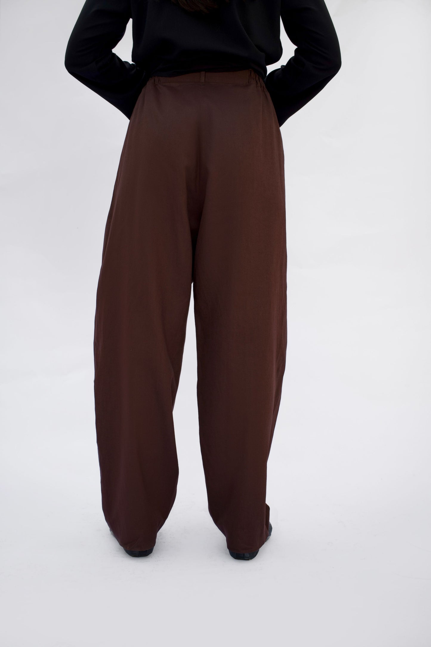 Brown Pleated Pants